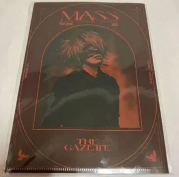 the GazettE REITA 클리어 파일 MASS