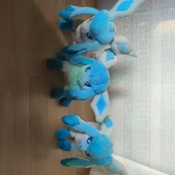 포켓몬 글레이시아 봉제 인형 세트