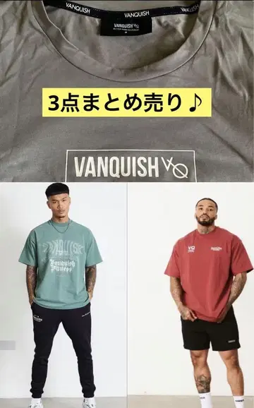 Vanquish fitness Tee 3점 묶음 판매