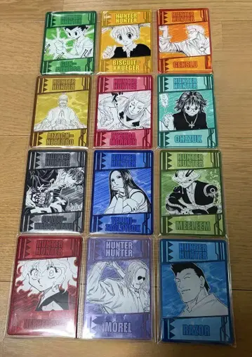 HUNTER x HUNTER 염능력 카드 컬렉션 컴프 12종류