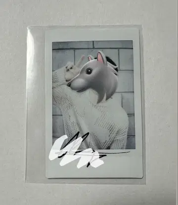 Stray Kids 친필 사인 폴라로이드 방찬