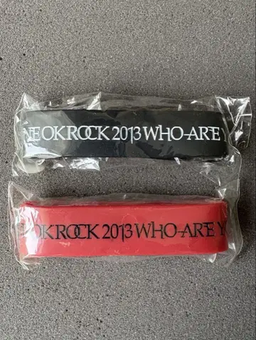 원옥 2013 러버밴드 러버 밴드