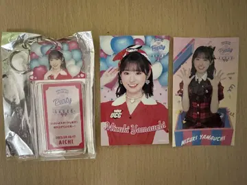 야마우치 미즈키 AKB48 PARTY SPECIAL 복권 세트