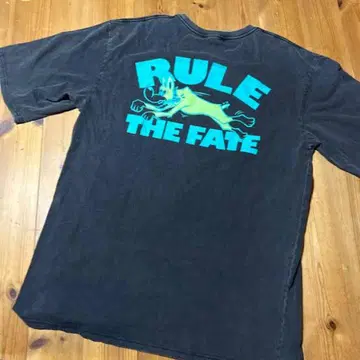 RULE THE FATE DOG PIGMENT 티셔츠 마이파스