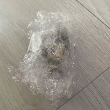 진격의 거인 한지 쵸코놋코 제일복권
