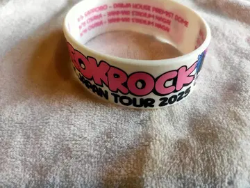 원옥 ONE OK ROCK 2025 러버 블레스