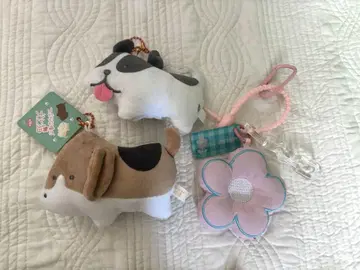 초롱초롱한 눈망울의 강아지와 고양이 + 꽃 스트랩 3세트