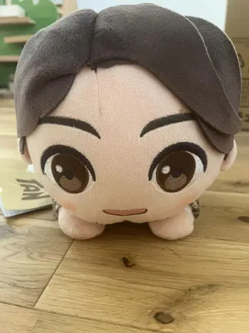 bts 정국 봉제인형 약 20cm