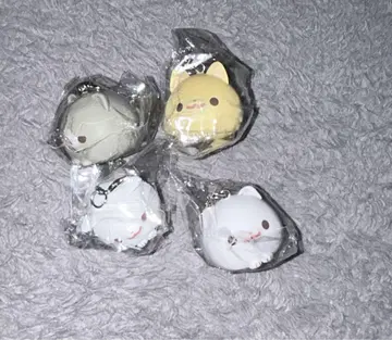 포메라니안 모찌 미니어처 참