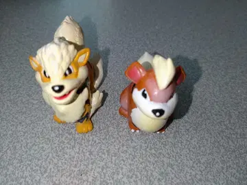 몬코레 윈디 가디
