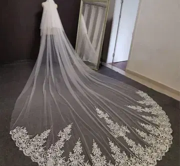롱 베일