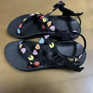 chaco 차코 팩맨 W8 (우먼 25.0cm)
