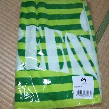 Mrs. GREEN APPLE MGA 썸머 타월 2025