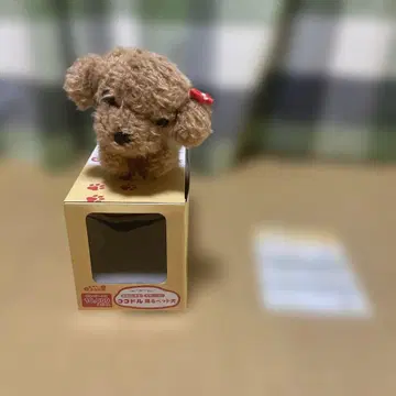 코코돌 춤추는 애완견