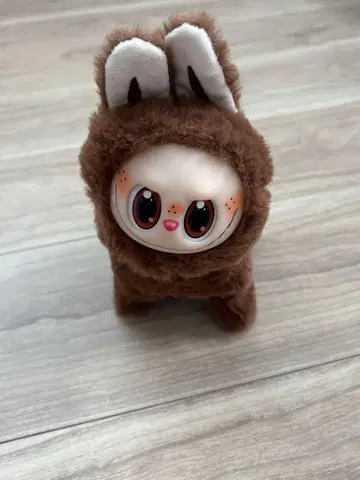 러브부 강아지