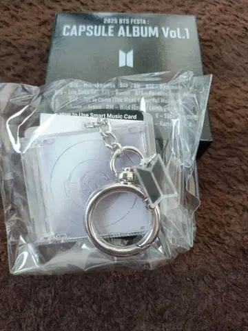 BTS 2025 CAPSULE ALBUM 키링 FACE ver