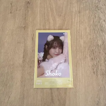 타키와키 쇼 레어 고양이 의상
