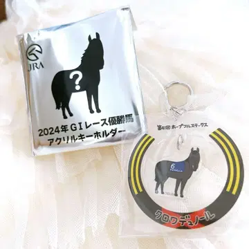 새상품 크루아듀노르 아크릴 키링 웰컴 찬스