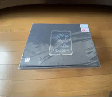 fgo 레이디 아발론 레진 키트