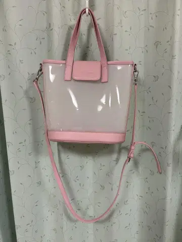 페일러 클리어 백