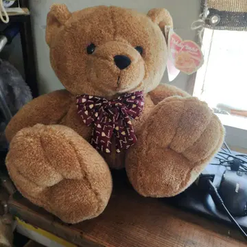 Teddy Bear Collection 봉제 인형