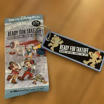 디즈니 Disney 드림스테이크플라이트 플라이트 택 시크릿