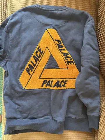 palace 팔라스 트레이너