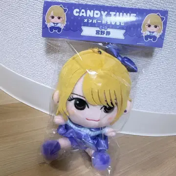 CANDY TUNE 캔튜 미야노 시즈카 찌비누이 카와누이
