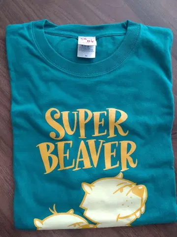 SUPER BEAVER 패밀리 티셔츠 applegreen M 사이즈