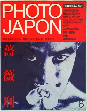 PHOTO JAPON 1984년 6월 8 특집 장미형
