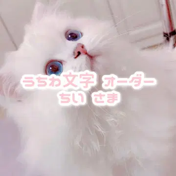 치이 님 부채 글자 오더