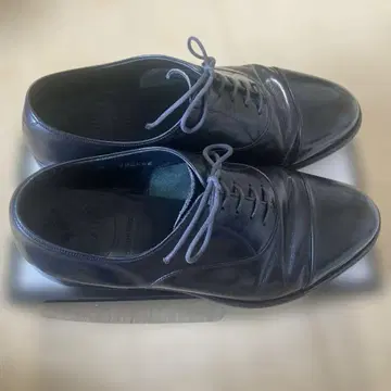 스코치 그레인 (SCOTCH GRAIN) 모델 1236 26cm 4E