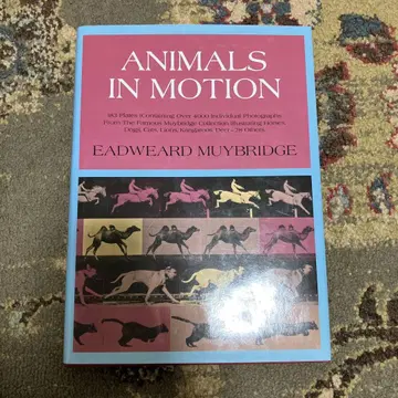 ANIMALS IN MOTION EADWEARD MUYBRIDGE