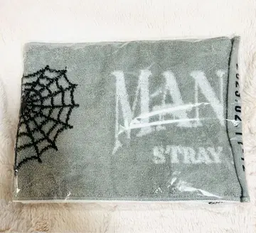 straykids 스키즈 MANIAC 머플러 타월 사이타마 버전