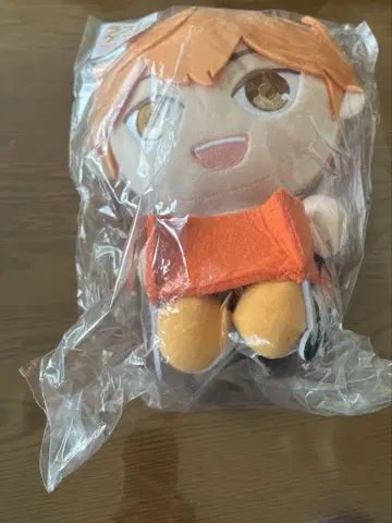 누이못치 히나타 쇼요 라스트원 상