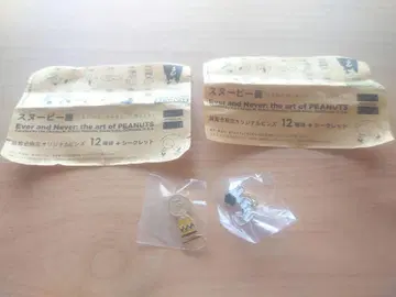 스누피 한정 오리지널 핀즈 2개 세트 스누피 찰리 브라운