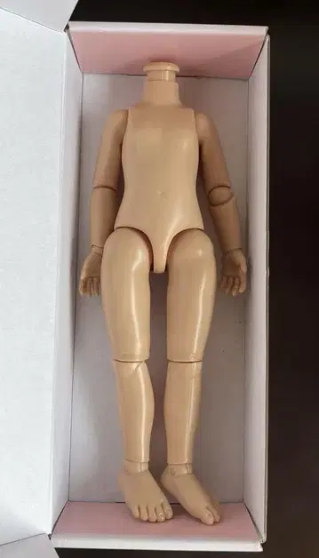 파올라 레이나용 액션 바디