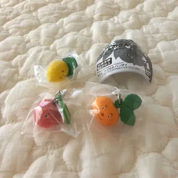 과일 씨 메지루시 액세서리