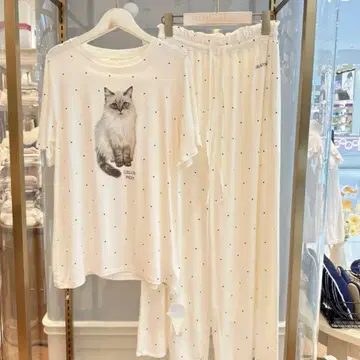 택 포함 CAT 패턴 도트 셋업 미사용 새상품 젤라또피케