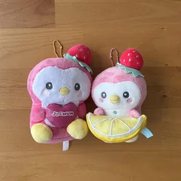 JOCHUM 포포 마스코트