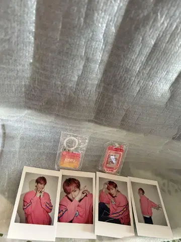 w-inds. 인스턴트 포토 카드와 가챠