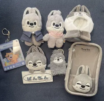 울프찬 세트 묶음 판매