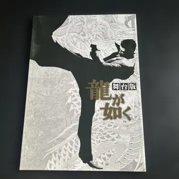 무대판 용과 같이 팜플렛