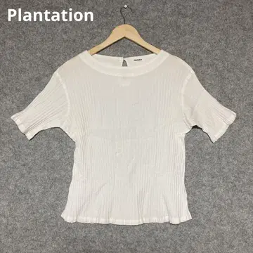 Plantation 리브 소재 화이트 반팔 티셔츠
