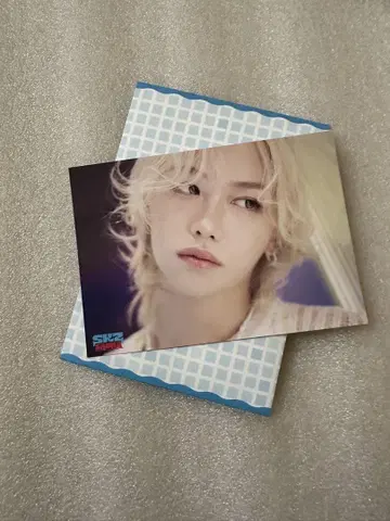 SKZ SAUNA 필릭스 랜트레