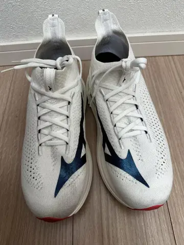네오비스타2 미즈노 27.5 MIZUNO
