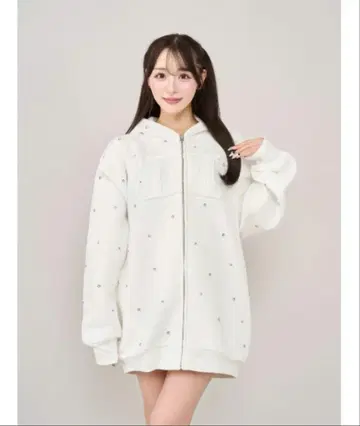 Darich 다리치 DD 로고 비쥬 지퍼 후드티