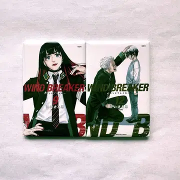 WIND BREAKER  랜덤 캔 마그넷 2세트