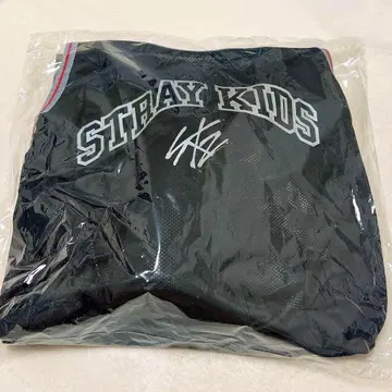 Stray Kids 스키즈 dominATE 에코파 업그레이드 특전 풀세트
