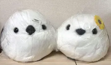 복복 시마에나가 여름의 방문 BIG